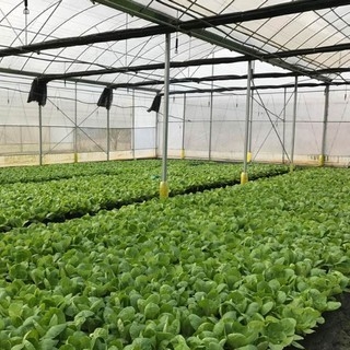 農業/養殖業溫濕度監控方案